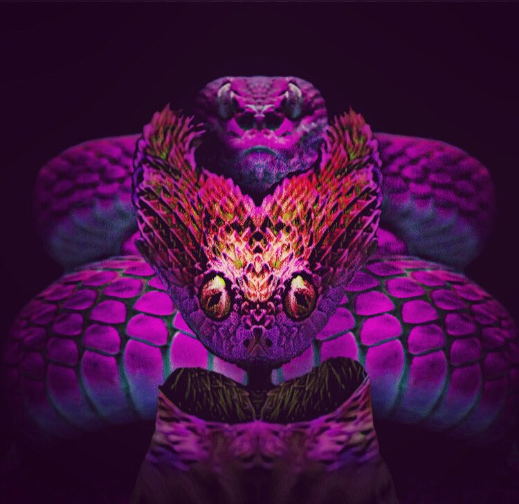 Reptilian & Skinerx NFT👽🛸 tweet media