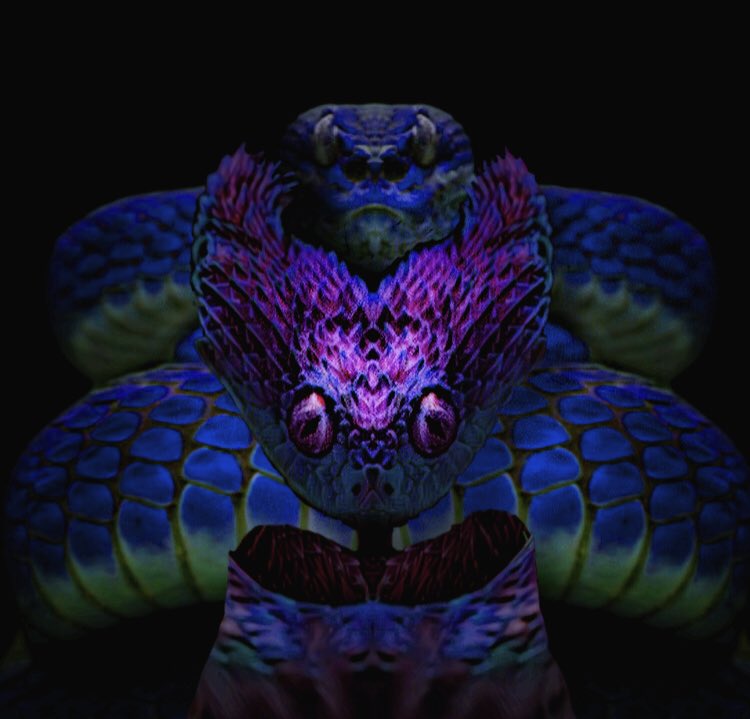 Reptilian & Skinerx NFT👽🛸 tweet media