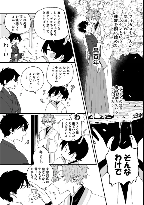 ※フィガ晶♂
長生きしました。 