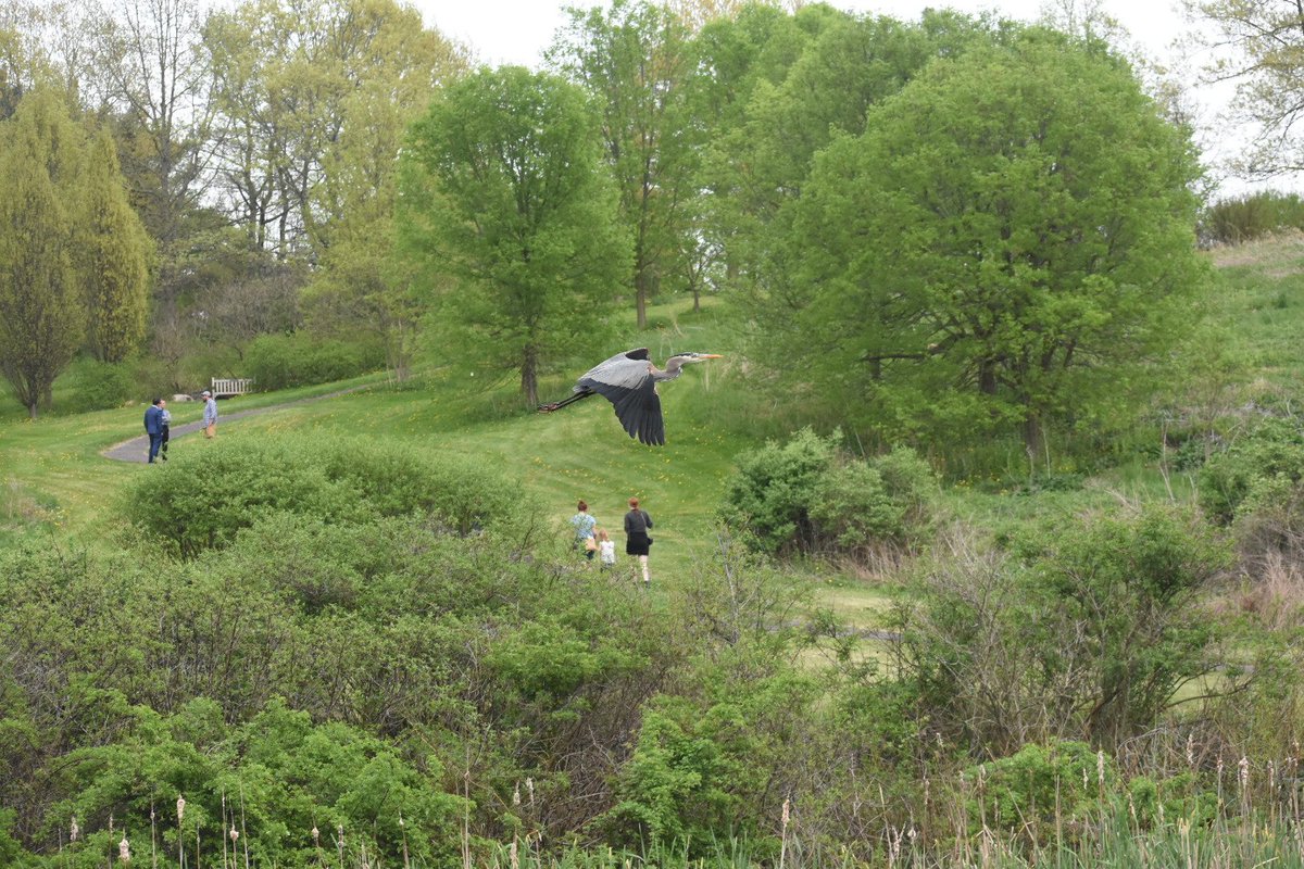 Happy #GlobalBigDay !!