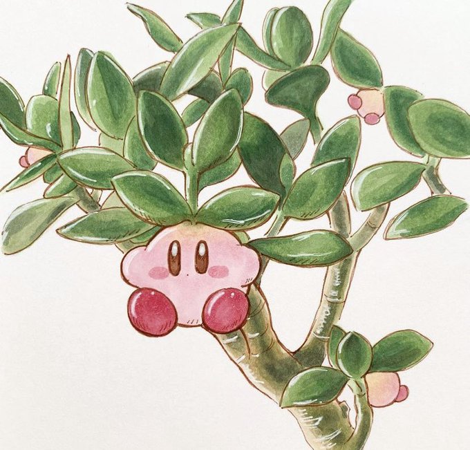 🌱ぽよ実🌱 