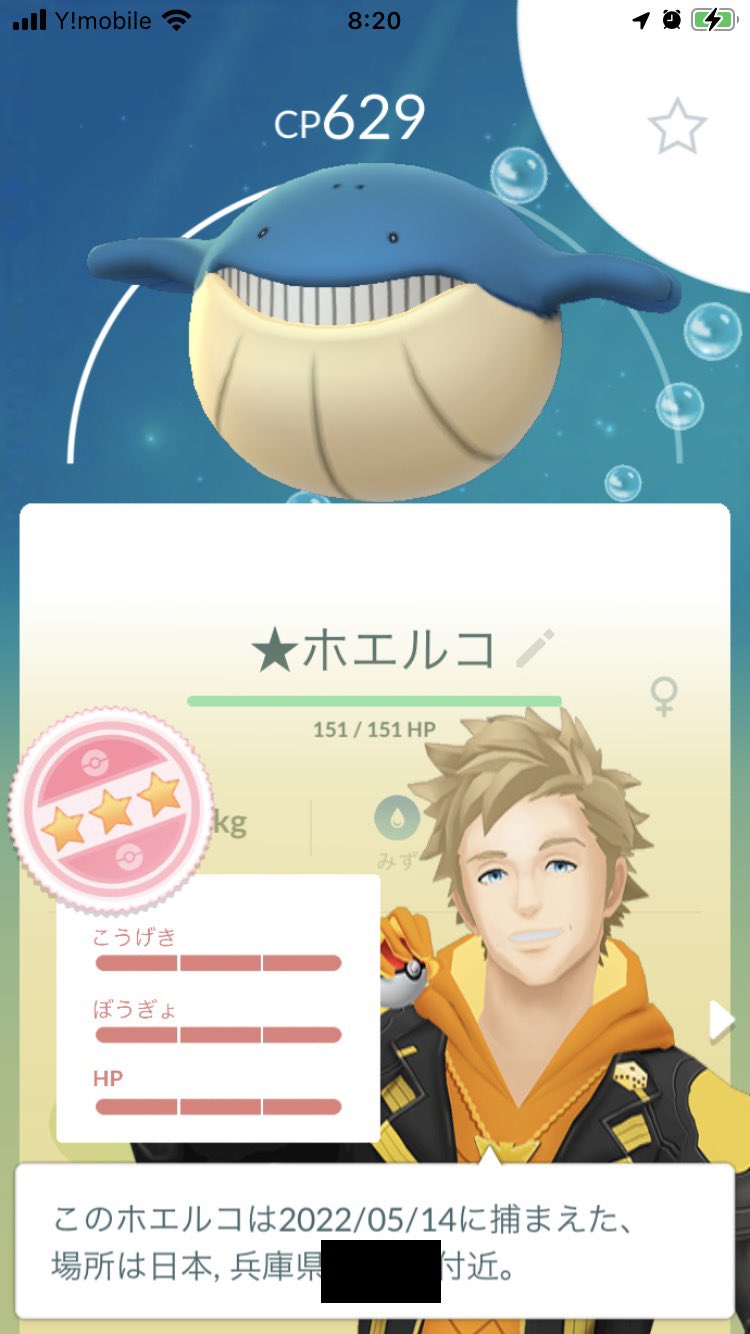 Soichi ポケモンgo 個体値max 個体値100 ホエルコ タスクから個体値maxが ホエルコは過去に出しているから2体目なんですー がんばリボン付けよう T Co Nuqnijxkdk Twitter