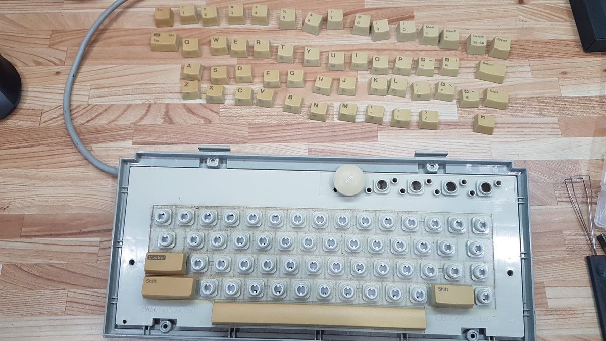 AndrewsTechBrk's tweet image. Yuck! Cleaning 35 years out of the XEGS keyboard. Next will be to see how some Sunbrighting helps with the keys yellowing.
#retrocomputing #atari #ataricomputer #atarixegs