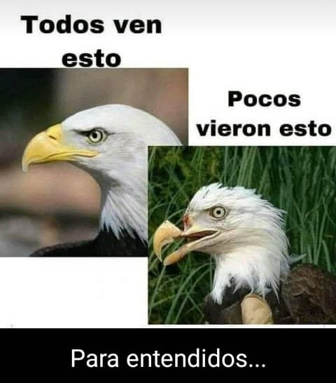 Al buen entendedor pocas palabras
#ignaciojp1