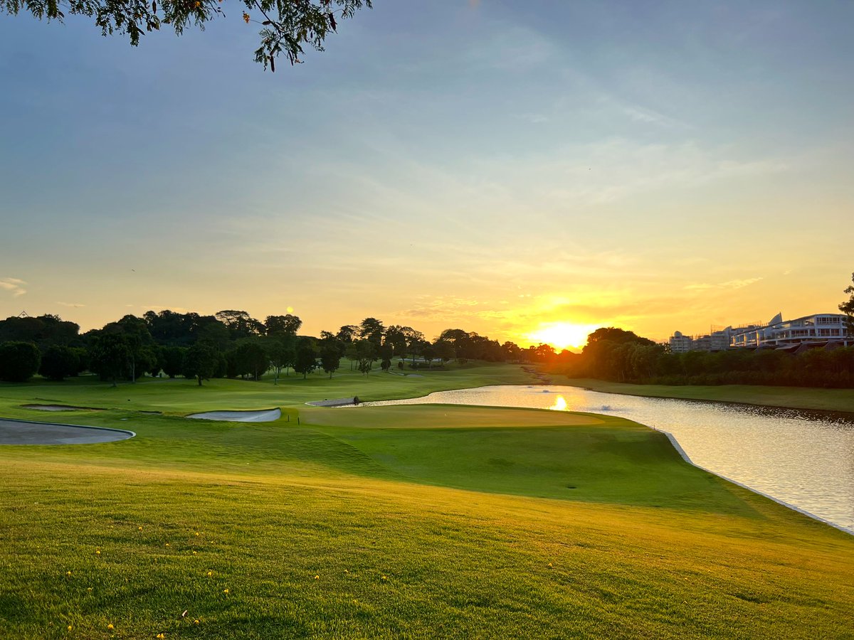 RThompsonTurf's tweet image. Easy like Sunday mornings