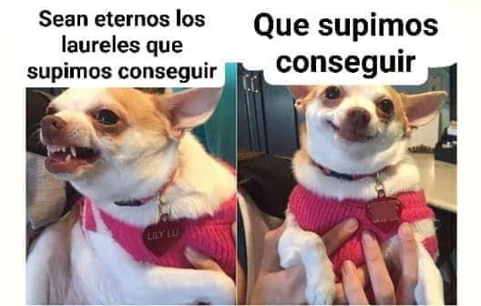 🇦🇷