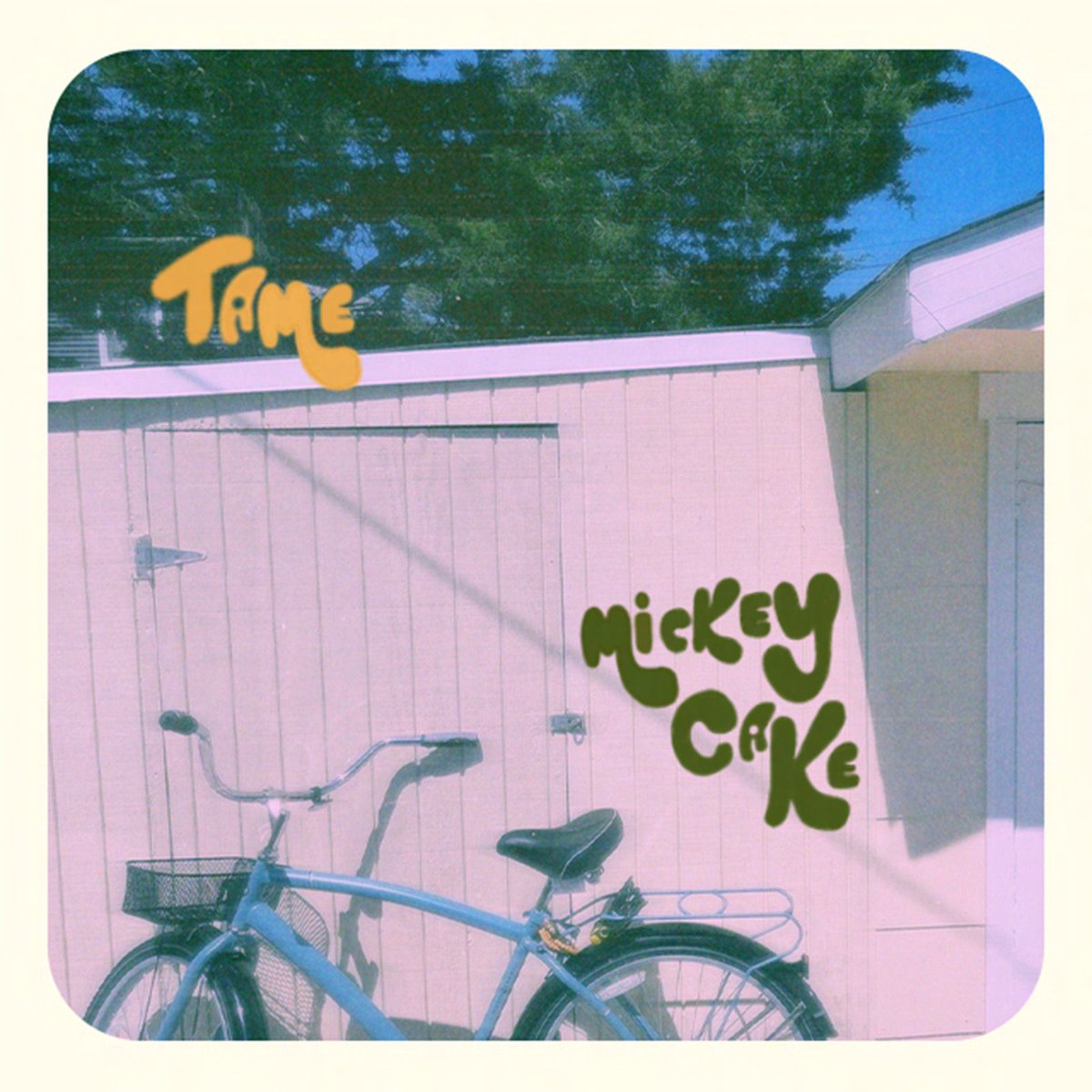 Mickey Cake tweet media