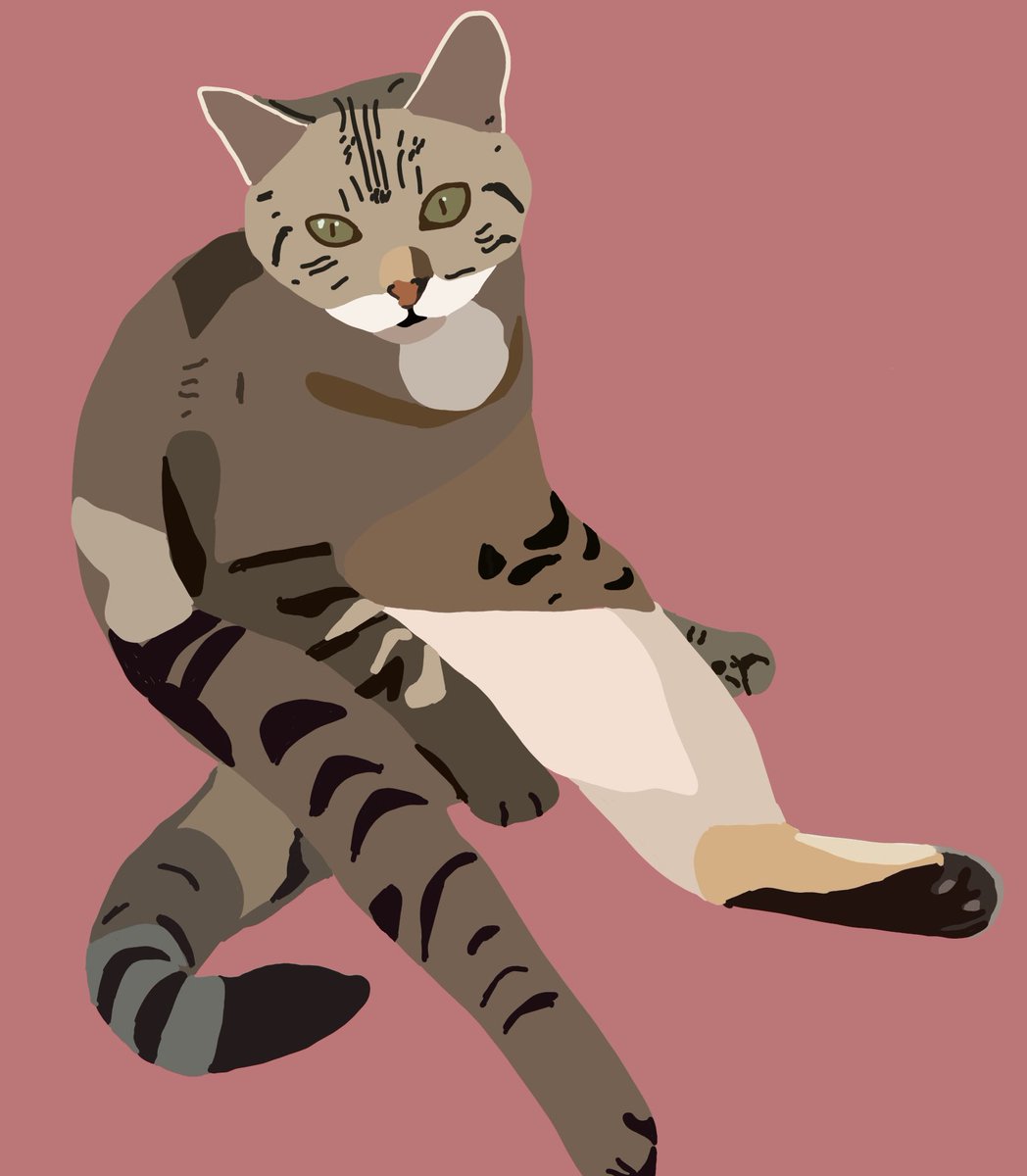 AngelaAdventure's tweet photo. @digitaldrivel I find tabby cats difficult but I have it a go https://t.co/dhIn3mmSTp