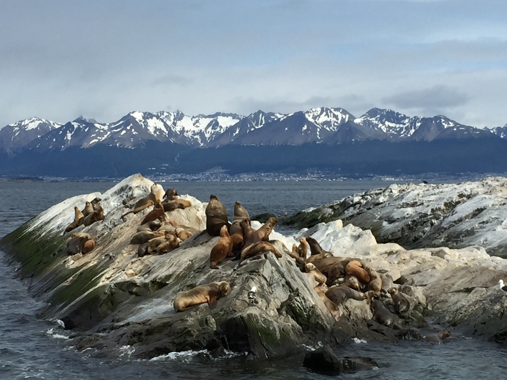 Ushuaia, Argentina

If they can stay together peacefully, why can’t we