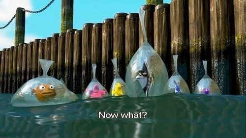 eddienoches's tweet photo. me when #eurovision ends: https://t.co/KpiuvvCVz1