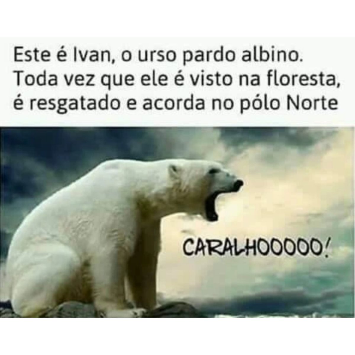 Frases Infames (@frasesinfames) on Twitter photo 