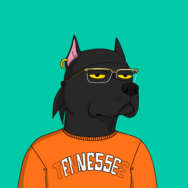 NftsSeb100's tweet photo. Hyped to finally join @GutterCatGang 🙏 Can I get a #GangGang? https://t.co/NfVf0leKzC