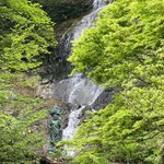 ツイートに含まれる画像