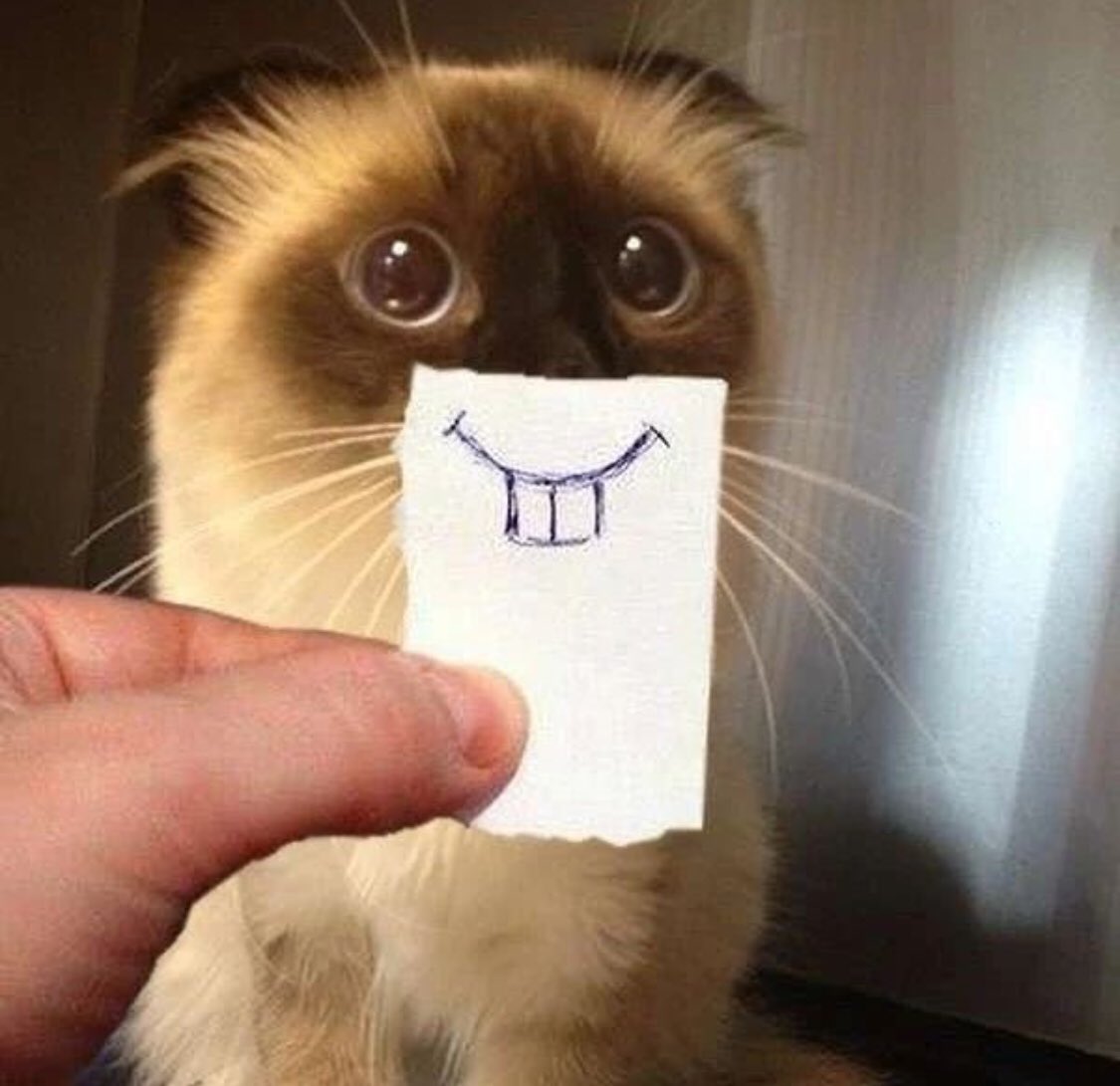 guys, tuco and i are besties. 

evidence: i’m not dead yet.