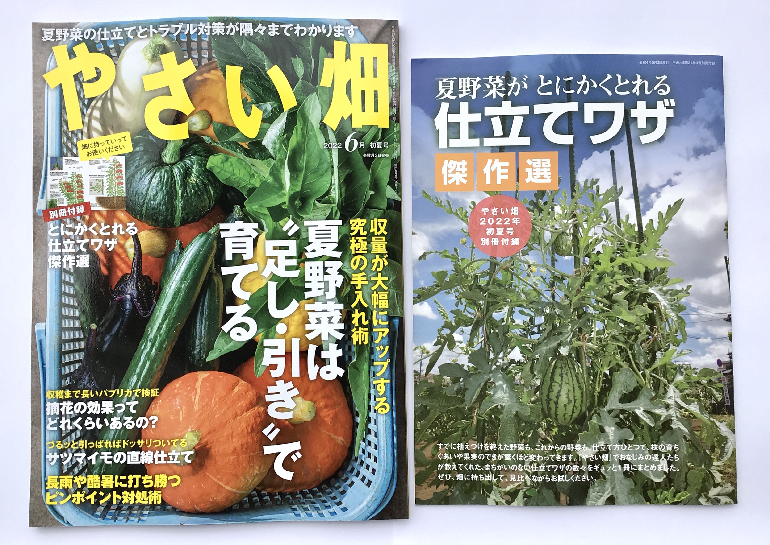 やさい畑 Twitter Search Twitter