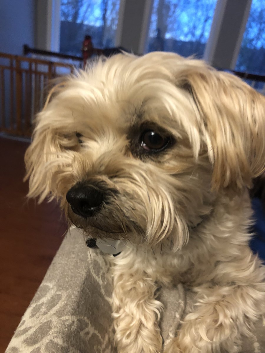 Mark Scherer tweet media