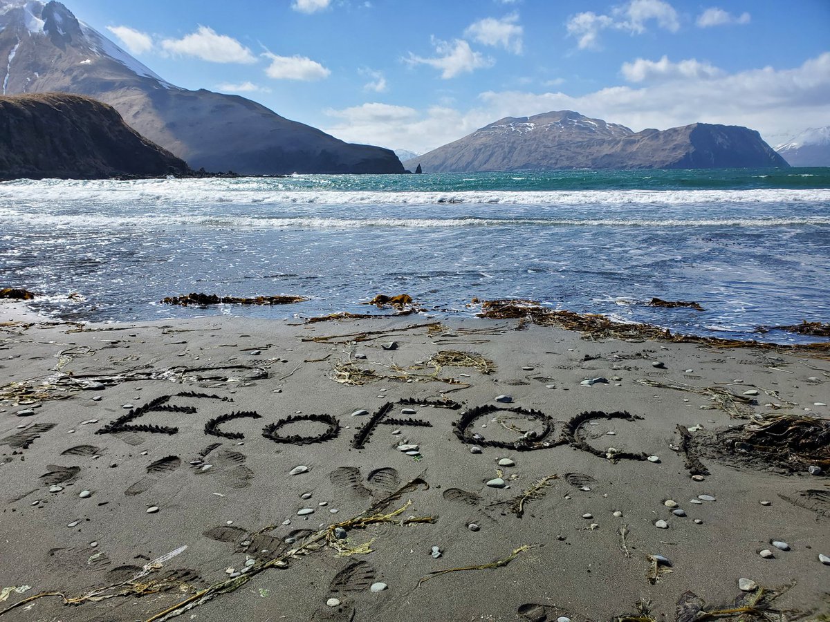 Dr. Emily Lemagie tweet media