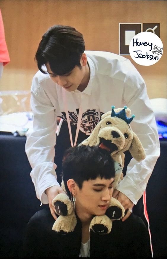 JeanNRas's tweet photo. เมื่อก่อน :
🌴: พี่ดุนะ หนูไหวหรือ?
เดี๋ยวนี้:
🐢 : ฮยองแบกน้องไว้แบบนี้นะ
🌴 : ได้ค้าบ หนูให้พี่อุ้มตัวเดียวเองหรอ
#bson #defwang #jackbum #ลัทธิแจ็คสันเคะ https://t.co/WvwGRyoczA