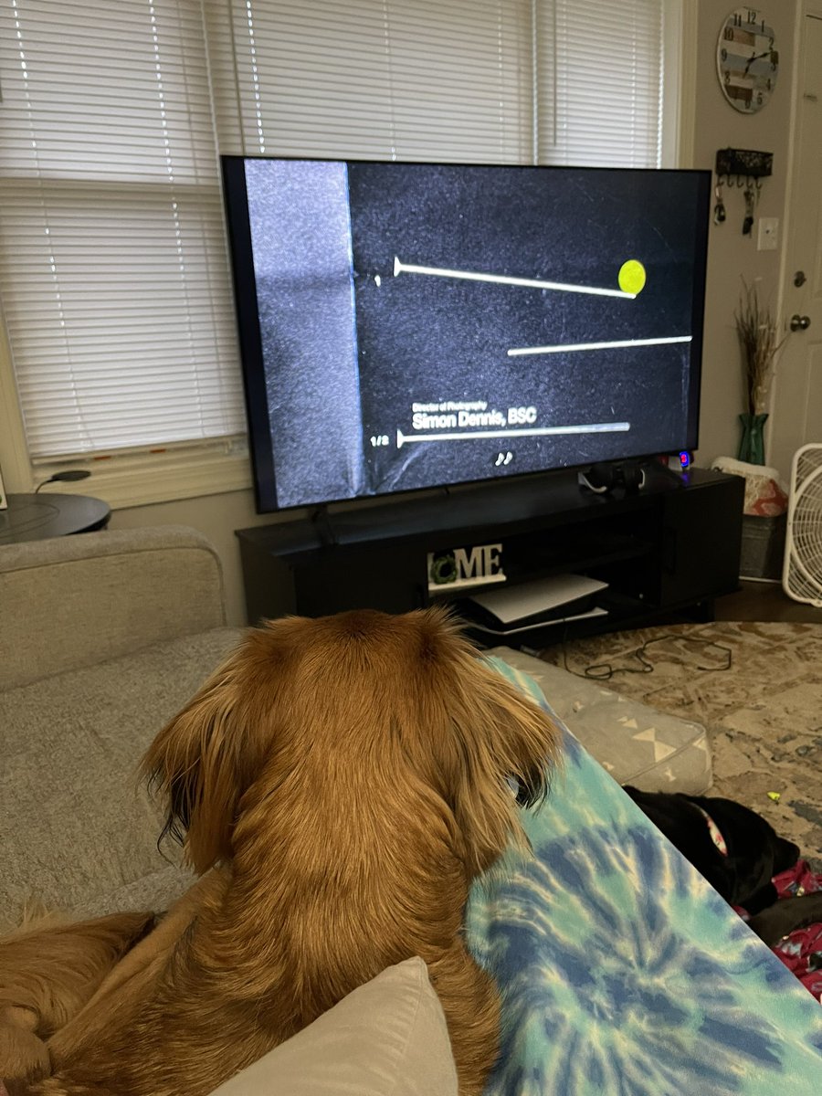dharmaandsam's tweet photo. Snugglin my sick mommy while we watch da TV. I keeps seeing tings out the window! #woofwoof #snuggledogs https://t.co/iVMKoXnJiT