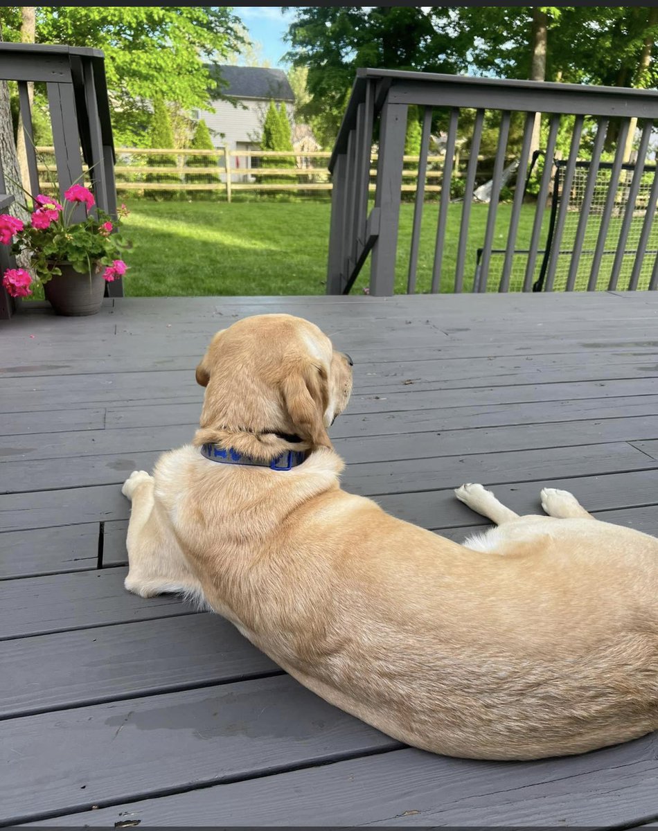 Happy Saturday- getting a little rest before the dance.  <a href="/Milford_Schools/">Milford Schools</a> <a href="/MJHS_Goetz/">Misty Goetz</a> @MjhToddwells <a href="/EmilyDoblinger/">Emily Doblinger</a>