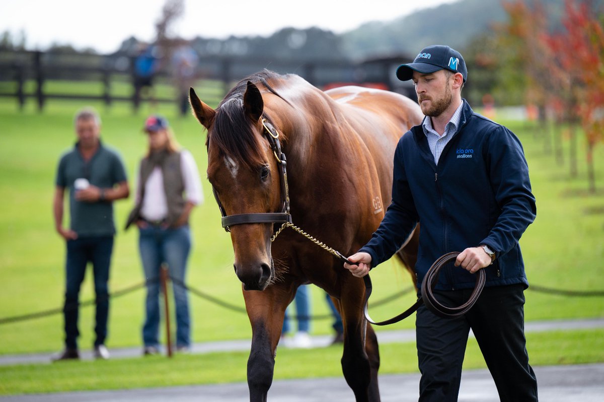 kiaorastud's tweet photo. We thoroughly enjoyed showcasing our stallions Farnan, Captivant and Prague this weekend.

Thank you to everyone who attended our parades. It was such a pleasure to see everyone, and if you missed out, please get in touch with Shane Wright, Belle Howard or Michael Kirwan. https://t.co/GS5ZTarFgl