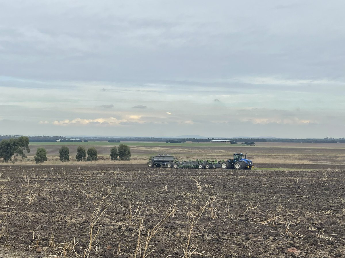 Brayden Warren tweet media