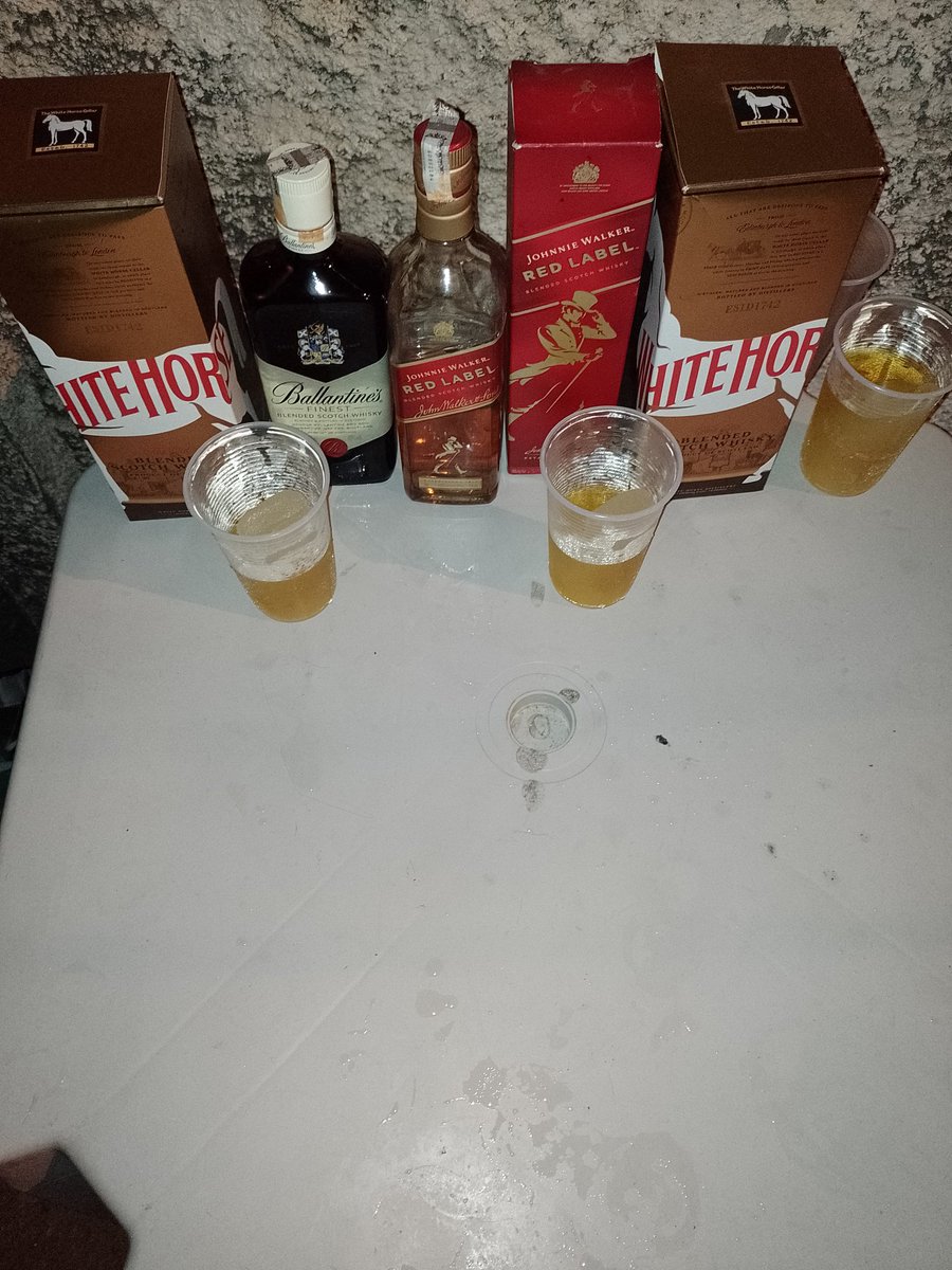 Paz terrível 🕊️🥃🎈