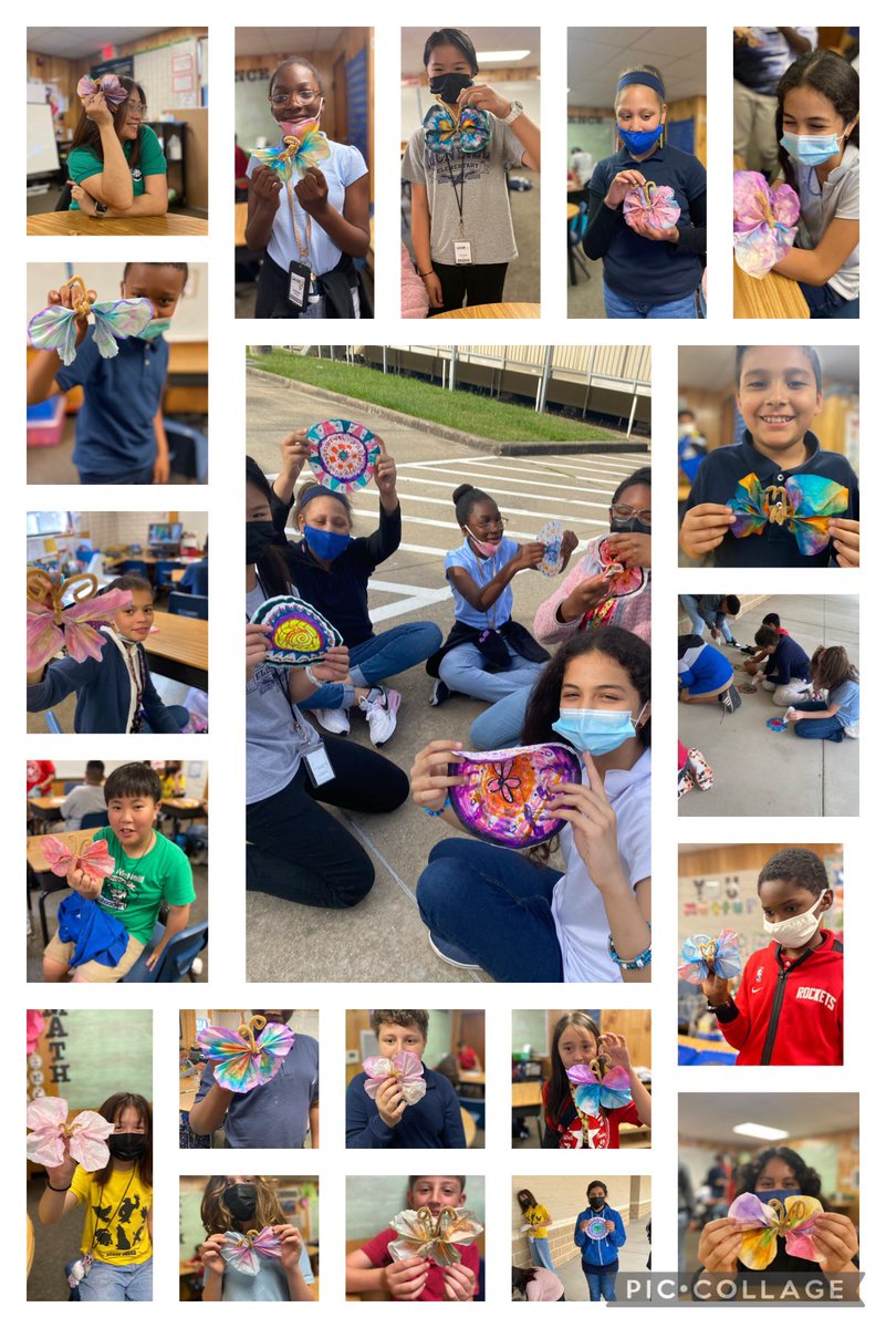 Separating mixtures of colors through Chromatography Butterflies activity.