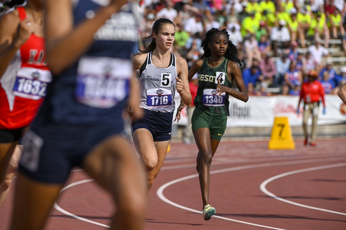 Joe Lorenzini tweet media