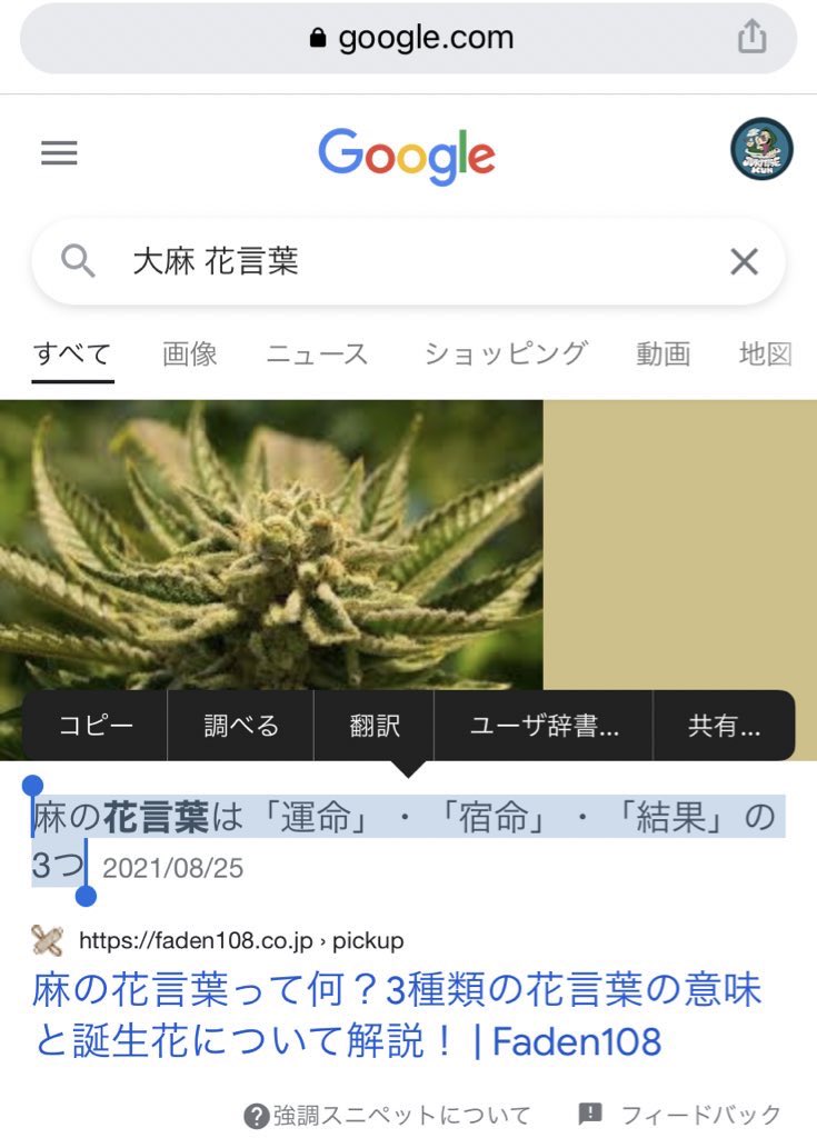 好きな時に飛べ 大麻 の花言葉が驚きの 運命 だった T Co Utsg53nuhi Twitter