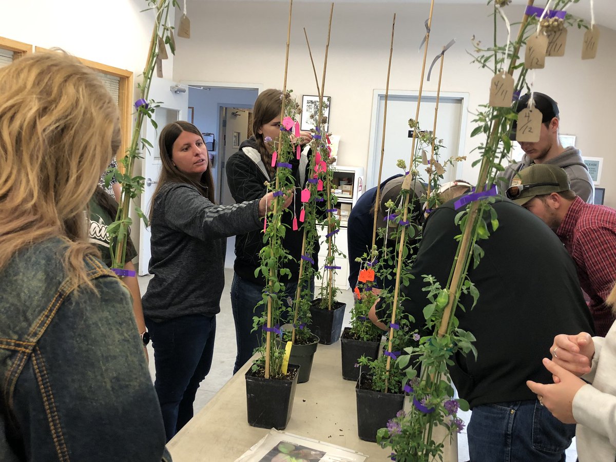 GuojieWang's tweet photo. Very appreciate Megan Perales and Ken Durant, as well as Steve and Jose from Forage Genetics International (FGI) hosted my forage class again right after COVID travel restrictions!!! My students and I enjoyed every minute. Next generation of alfalfa breeders? https://t.co/7NVYY0qHHP