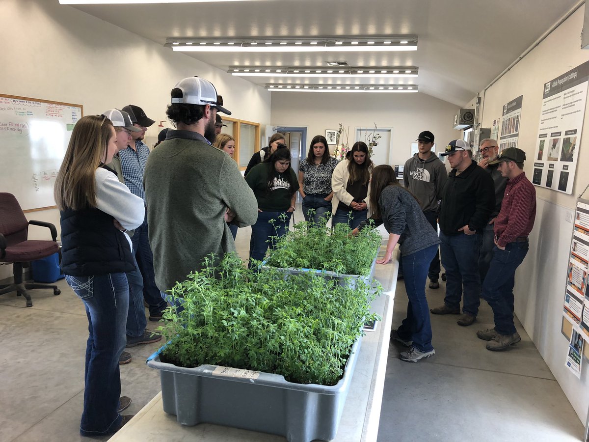 GuojieWang's tweet photo. Very appreciate Megan Perales and Ken Durant, as well as Steve and Jose from Forage Genetics International (FGI) hosted my forage class again right after COVID travel restrictions!!! My students and I enjoyed every minute. Next generation of alfalfa breeders? https://t.co/7NVYY0qHHP