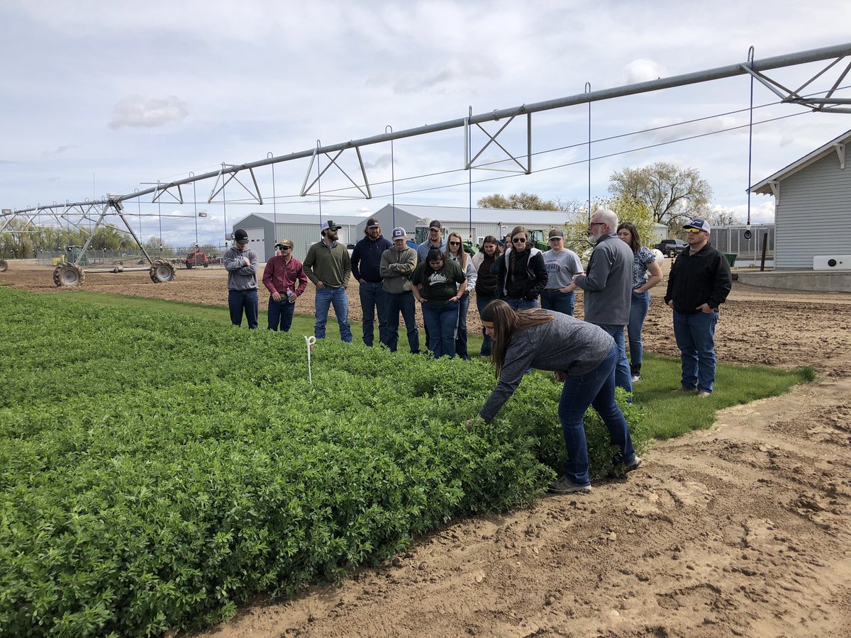 GuojieWang's tweet photo. Very appreciate Megan Perales and Ken Durant, as well as Steve and Jose from Forage Genetics International (FGI) hosted my forage class again right after COVID travel restrictions!!! My students and I enjoyed every minute. Next generation of alfalfa breeders? https://t.co/7NVYY0qHHP