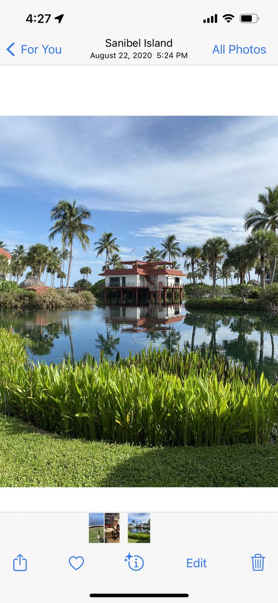 LeighRuddy's tweet photo. #sanibelisland #pointesanto https://t.co/182spfzcH0