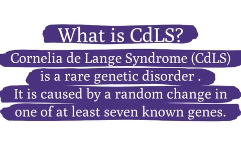 ammbar69's tweet photo. El segundo sábado del mes de mayo, el es día dedicado a la concienciación sobre el
#SíndromeCorneliaDeLange💜 Hagamos visible nuestro apoyo usando una prenda color morado
#cdlsawareness https://t.co/g6WnLRJE92
