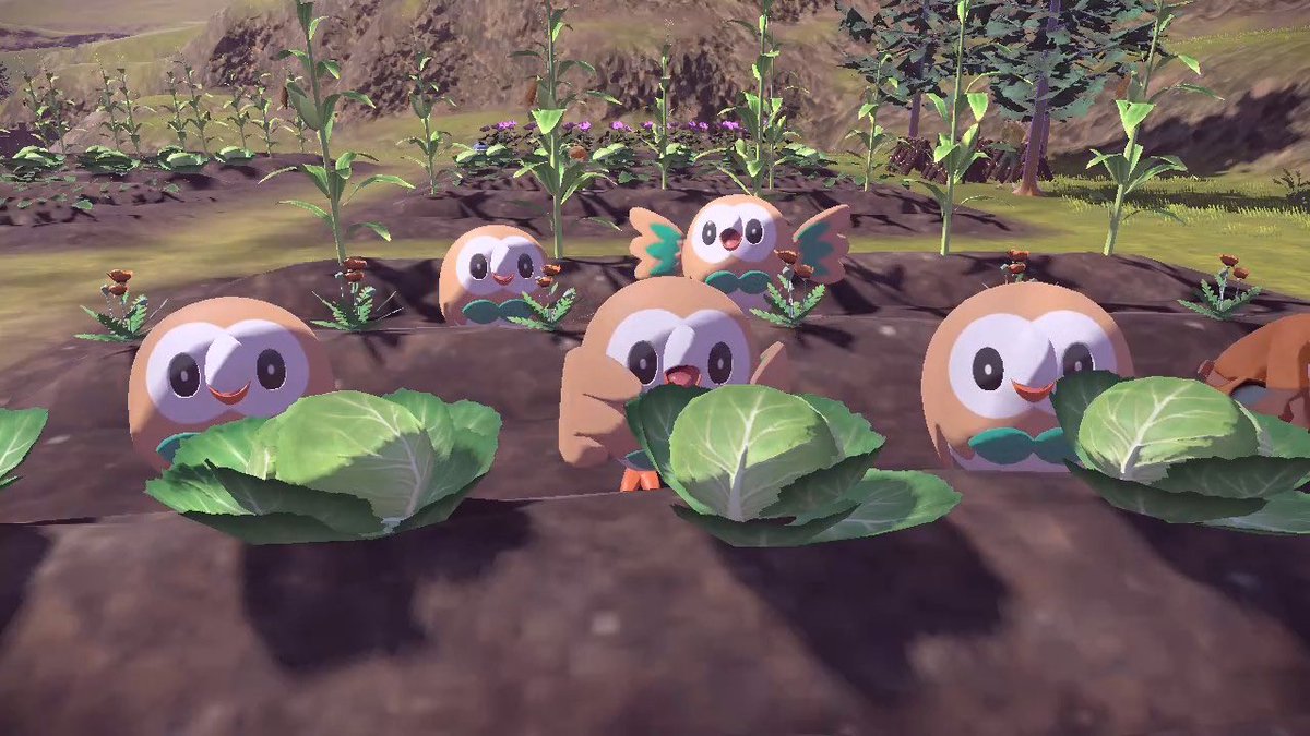 タグ ポケモンのかわいいところ の注目ツイート メガとんトラック