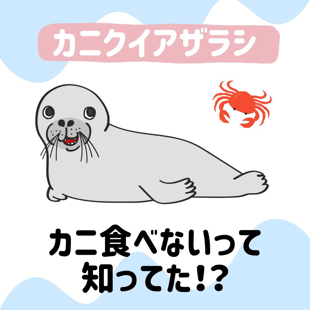 ぽるか 今回は カニクイアザラシ についてざっくりまとめてみました ぜひ話のネタにしてみてね T Co 2lmkpqfjeb Twitter ぽるか 今回は カニクイアザラシ についてざっくりまとめてみました ぜひ話のネタにしてみてね T Co 2lmkpqfjeb Twitter