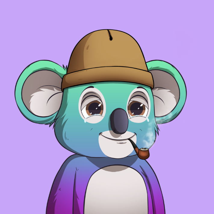 Kozy Koalas🐨 tweet media