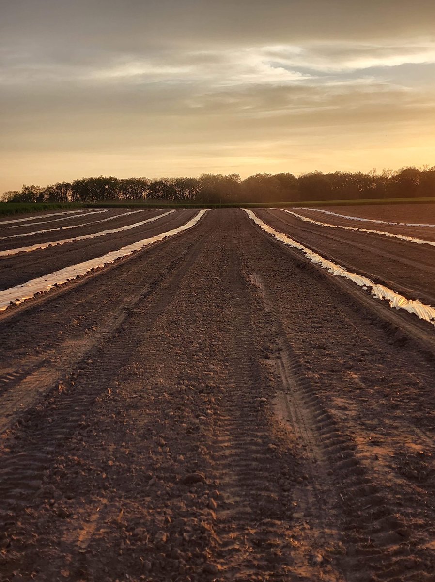 EdithRoseCo's tweet photo. Almost ready to plant the hemp seeds! So excited for this year! Check out our website https://t.co/UQWgz8NPOo to check out our full catalogue of products! Use promo code in bio for 20% off all products! #DELTA8 #hemp #farming #PromoCode #discounts #views https://t.co/YbKCDnBroY