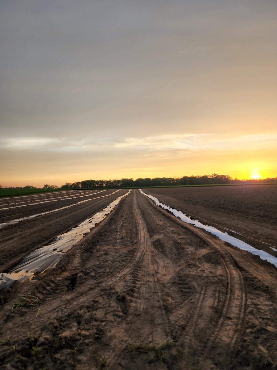 EdithRoseCo's tweet photo. Almost ready to plant the hemp seeds! So excited for this year! Check out our website https://t.co/UQWgz8NPOo to check out our full catalogue of products! Use promo code in bio for 20% off all products! #DELTA8 #hemp #farming #PromoCode #discounts #views https://t.co/YbKCDnBroY
