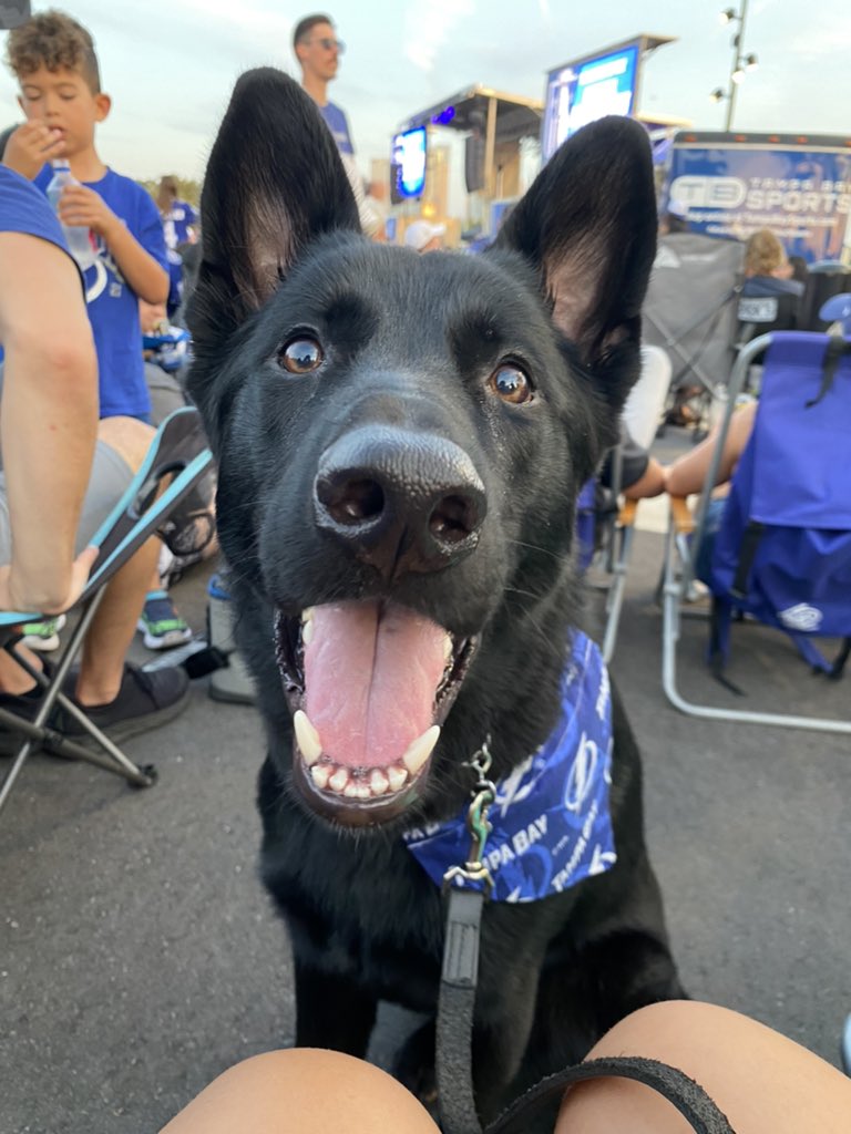 #gobolts #tampabaylightening