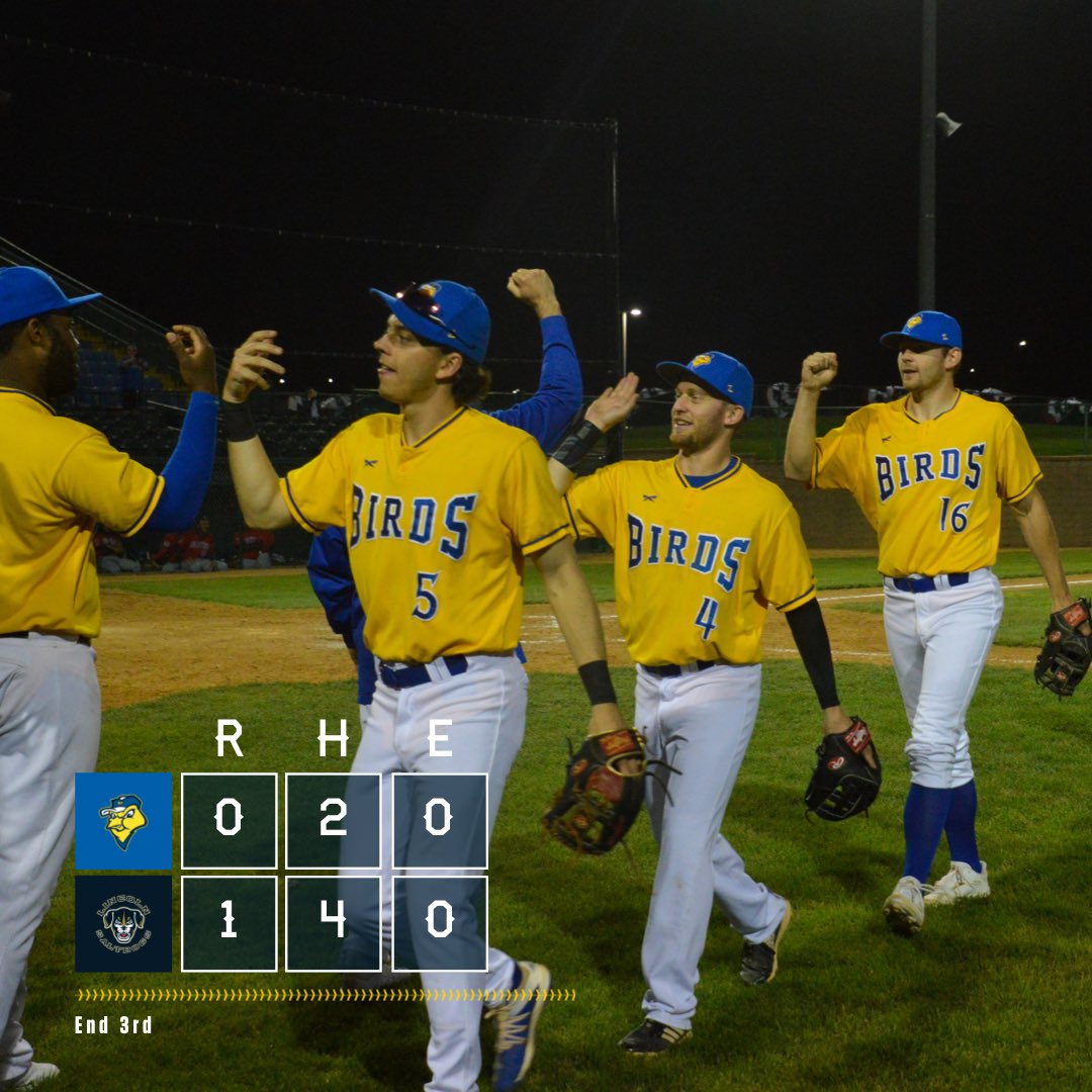 Sioux Falls Canaries on Twitter "https//t.co/kHs7KnFwIX" / Twitter