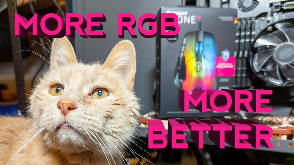 TheProfosist's tweet photo. Need some extra buttons? Want a comfy grip? Need Ai powered #RGB?
Check out @ROCCAT's new #KoneXP!
https://t.co/cxC3MtBius
#experienceprecision #ControlYourXP #ad #GamingMouse #MouseEnthusiast #CatsOfTech #CatLife https://t.co/CeGzNTb6JL