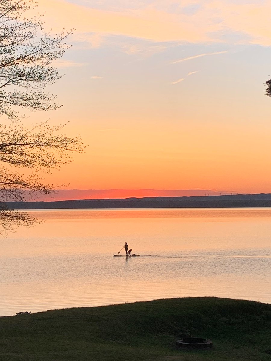 Damon Whitten tweet media