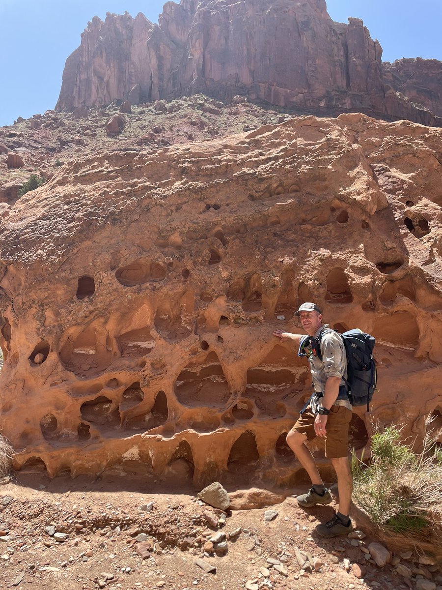 Taylor_Dunks's tweet photo. Upheaval Dome! Hiked 18km and got to see some well preserved ripple marks, wonky aeolian erosion, and a graben! #PS9605 https://t.co/3zwSdhs5SP