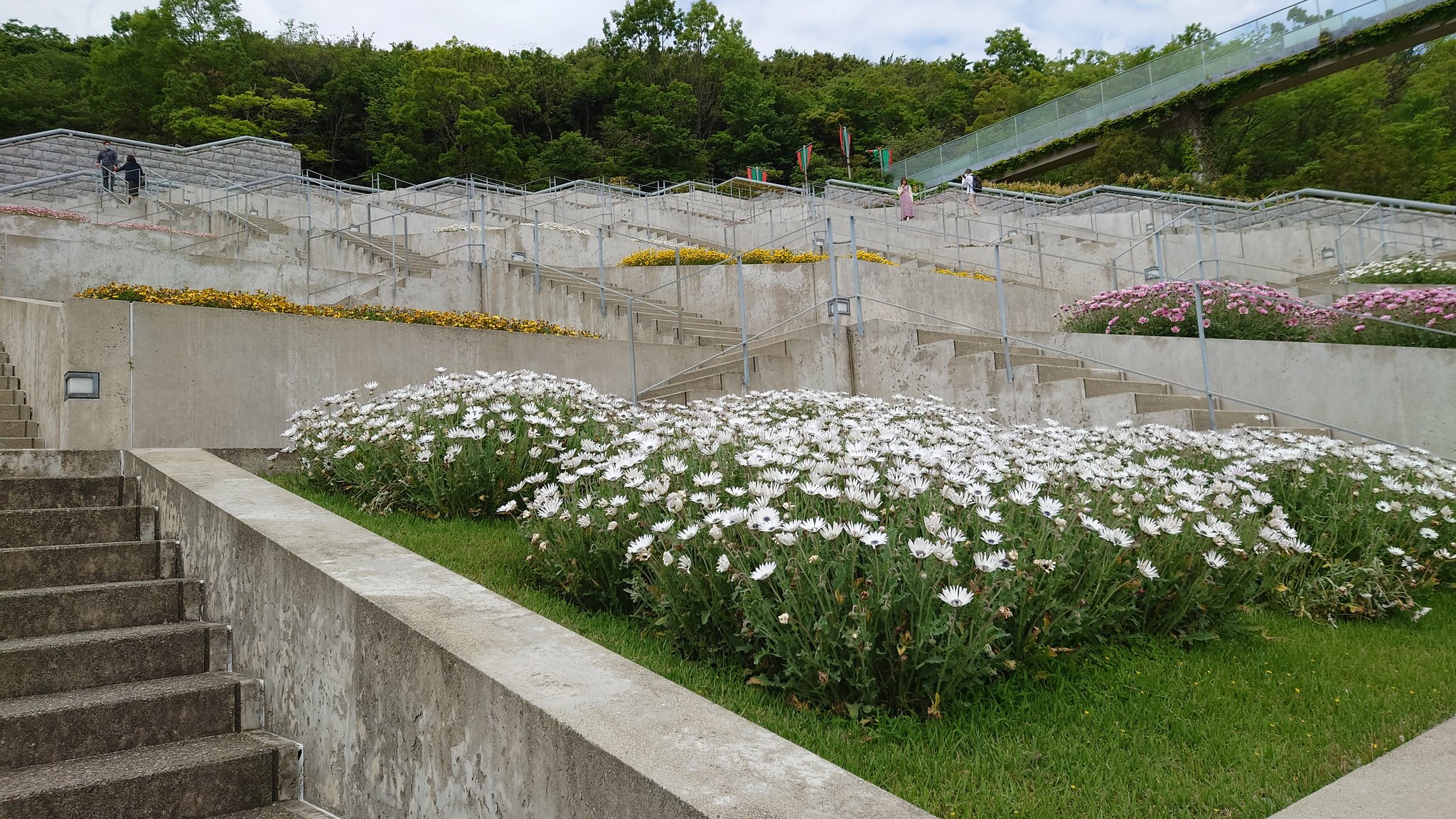 ハッシー ワクチン三回目接種済み 淡路国営明石海峡公園続き 出口向かう途中ニワトリの巨大オブジェ有ったので撮影し出口向かう 淡路夢舞台と国営明石海峡公園報告終わる 淡路国営明石海峡公園 淡路島 T Co Pet6oz5biy Twitter