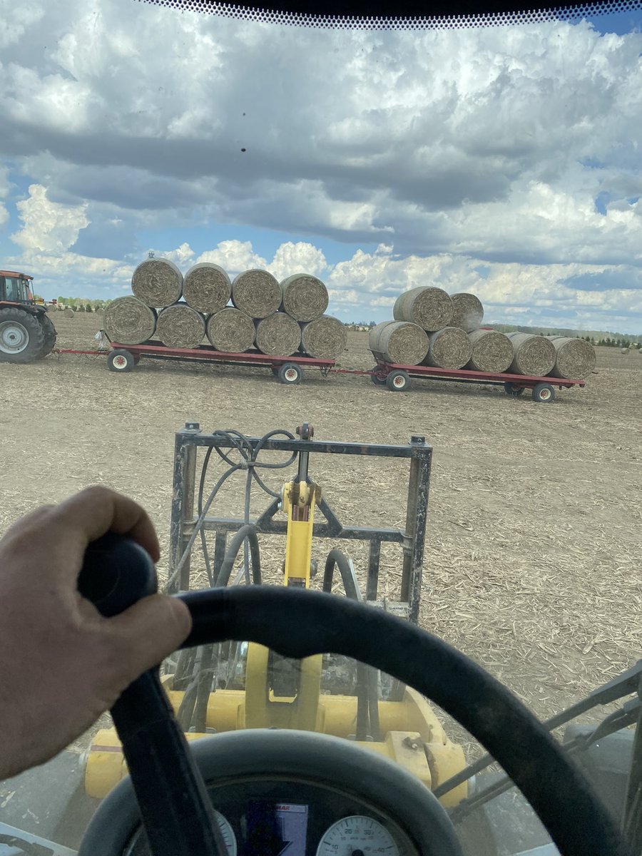 jakemanthomson's tweet photo. Rolling up some extra bedding before the rain comes #ontag @NewHollandAG new baler dialled in just right https://t.co/VCzZUvEGgB