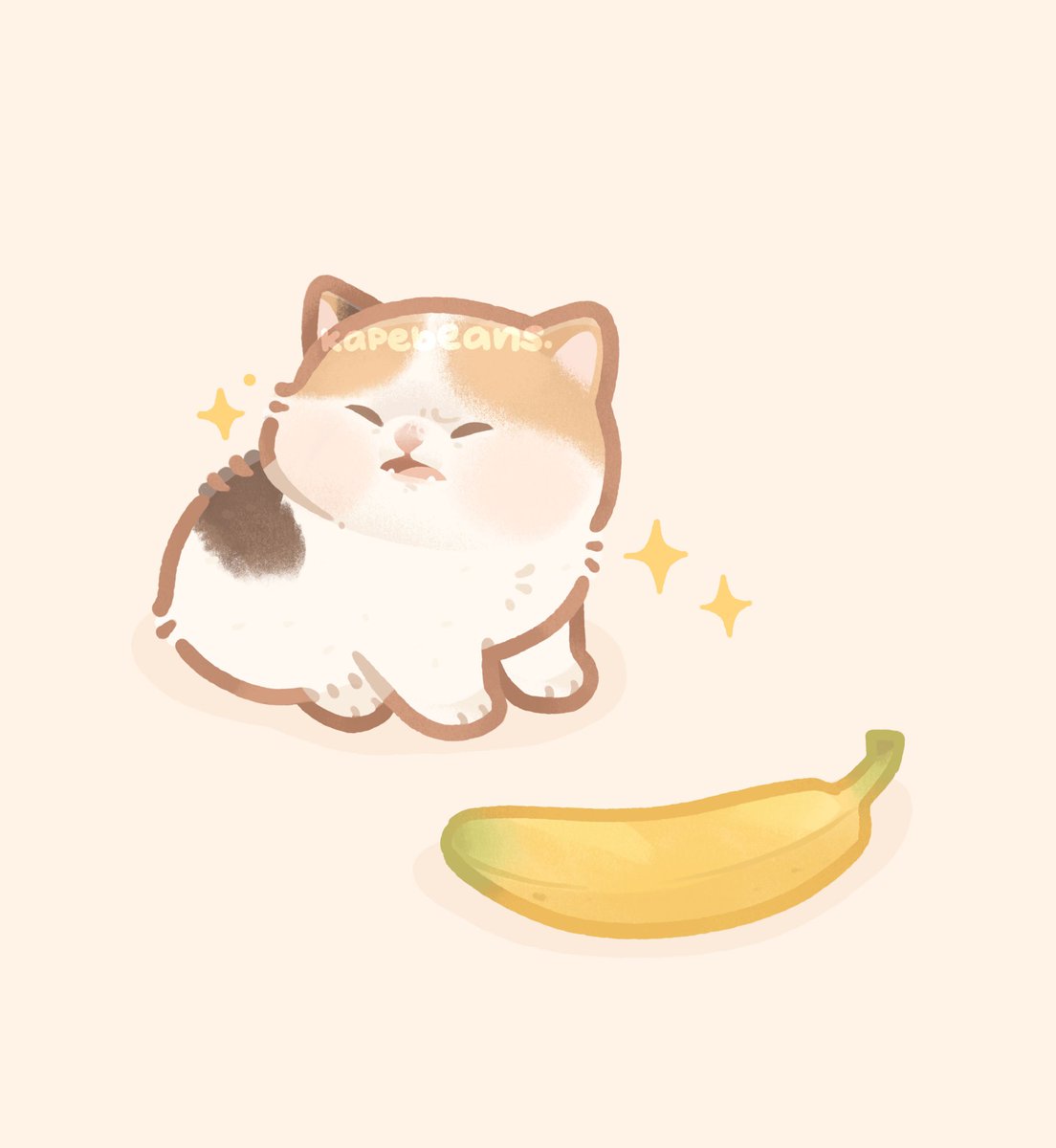 kapebeansies's tweet photo. https://t.co/5h5YQqQ0GF