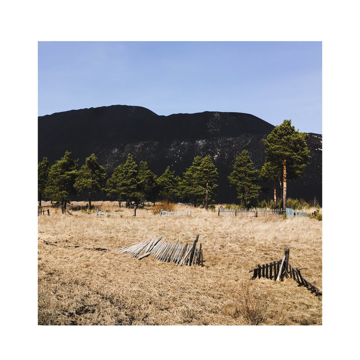 GM! #NFTCommunity 

I hope you're having a great Sunday.

#posse