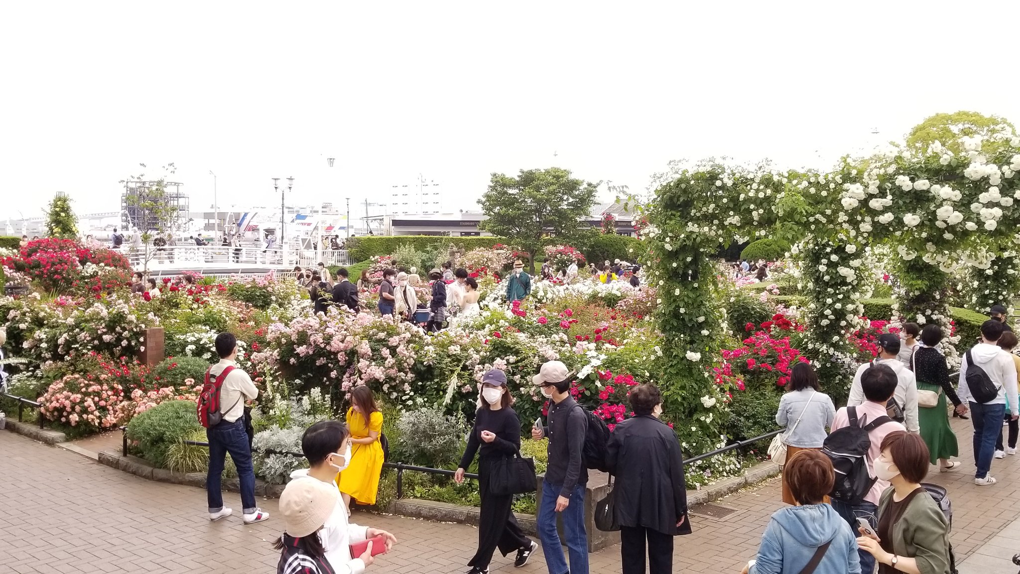 Hiro Waki 山下公園 T Co Scf7dbp0vz Twitter